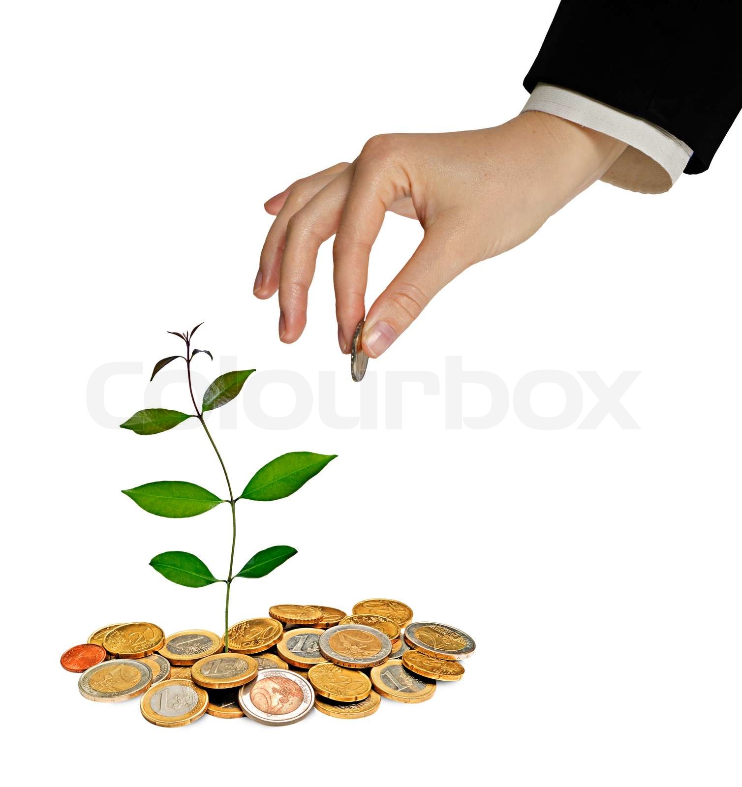 The Rise Of Green Investments What It Means For Businesses