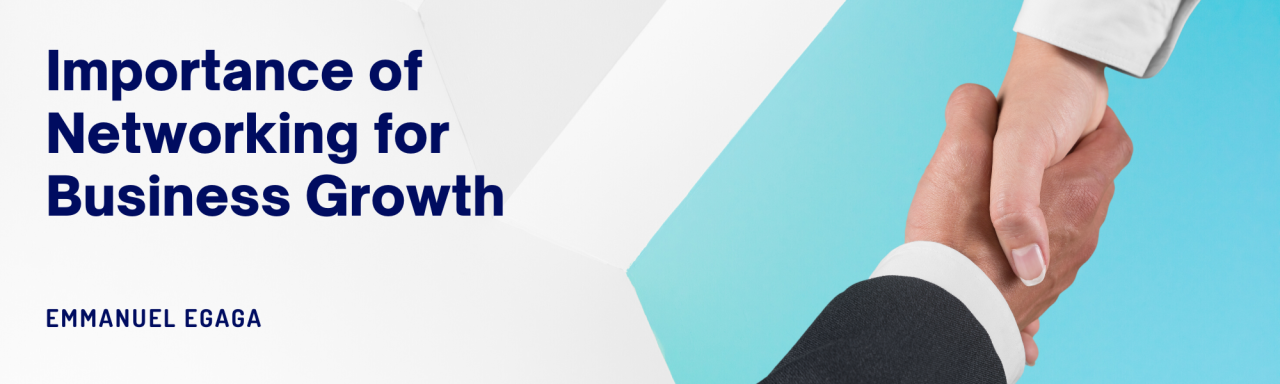 The Importance Of Networking For Business Growth