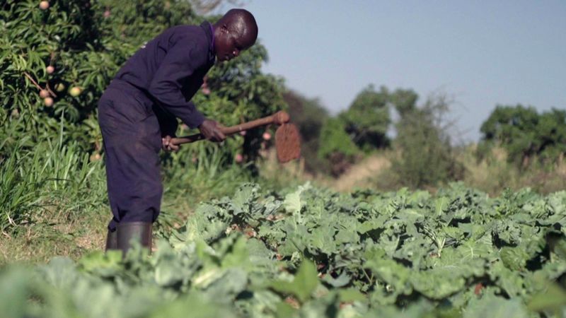 Sachs Says Millennium Villages Are A Model To Avoid Famine