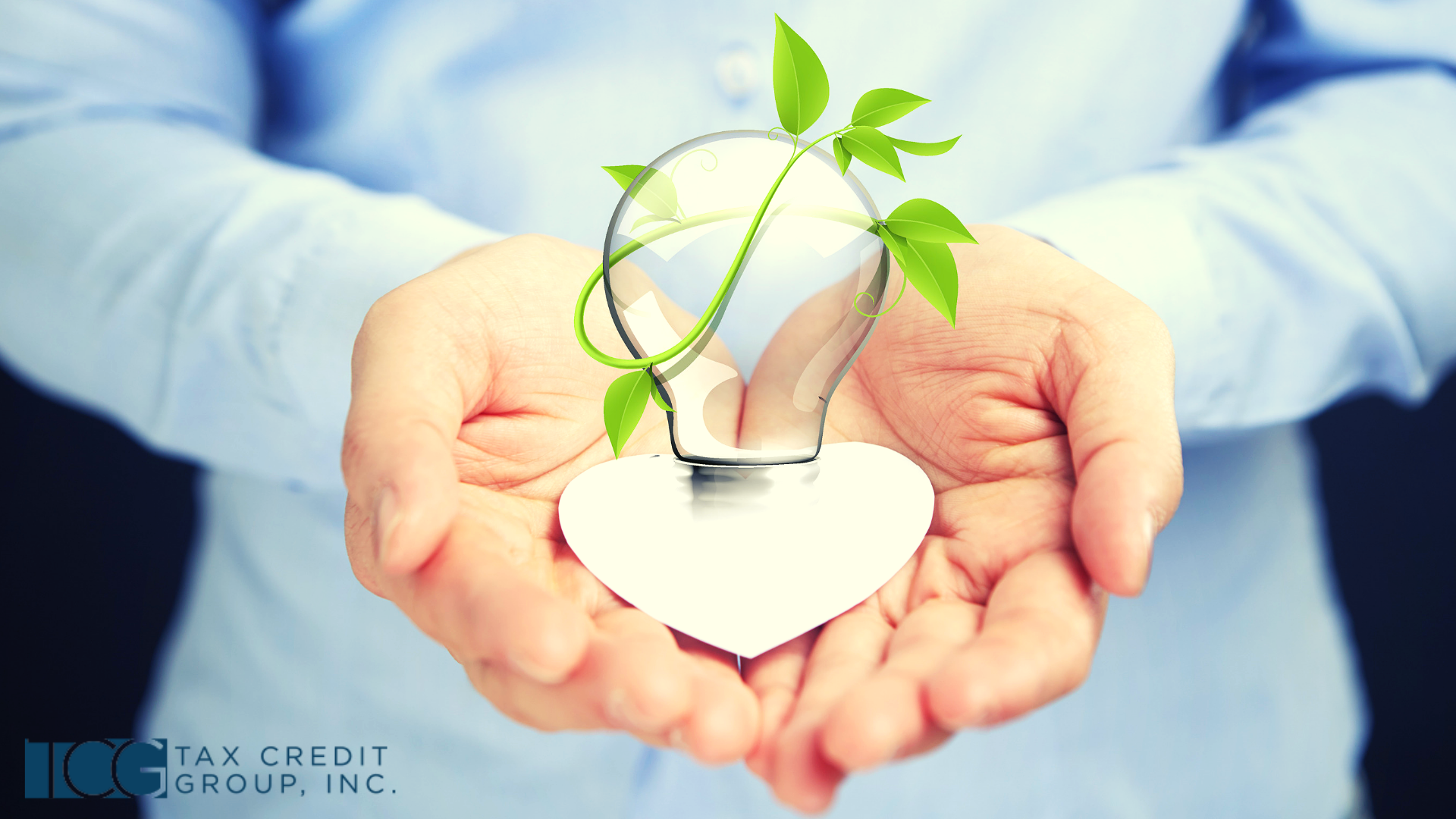 Sustainability In Business Operations How To Go Green And Save Money
