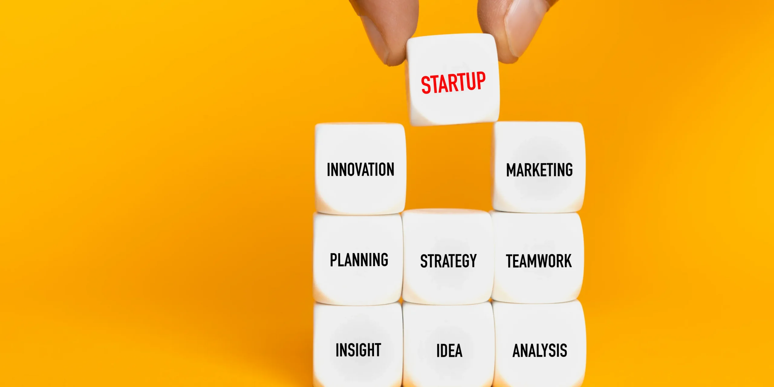 The Role Of Networking In Growing Your Startup