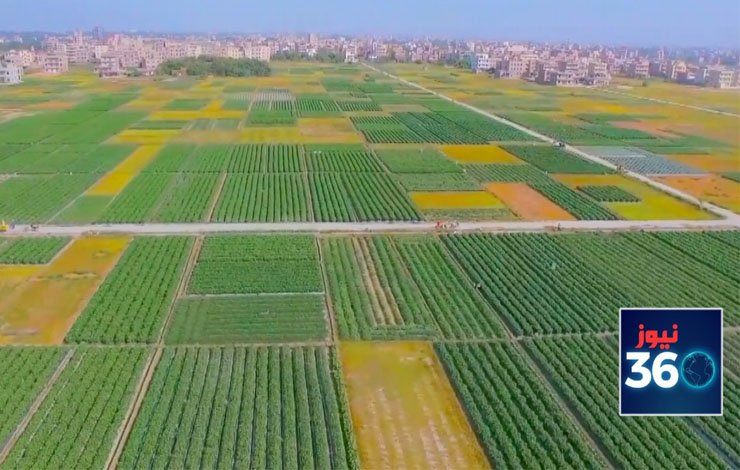 Chinas Mobile Farming Network