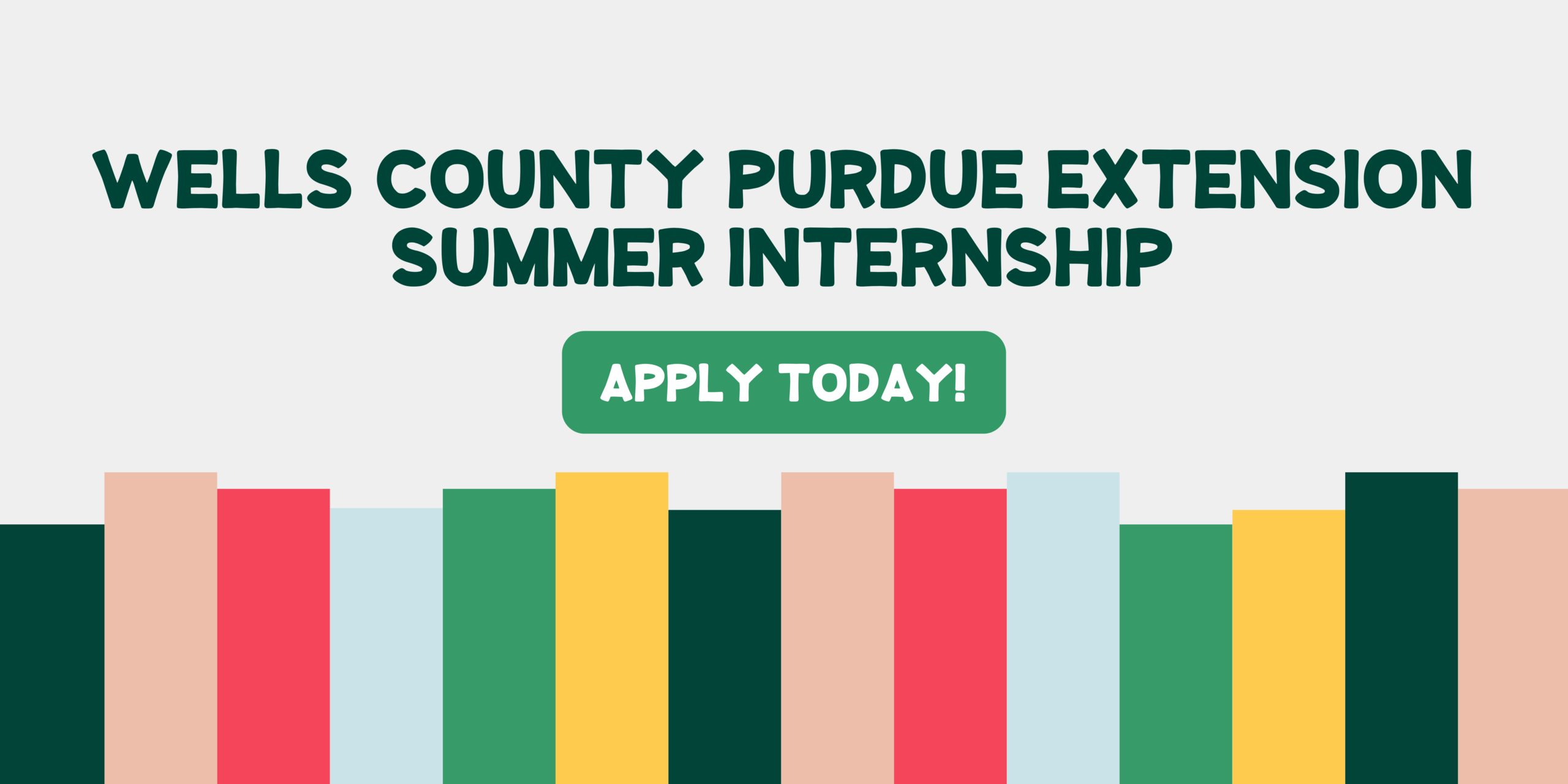 Summer Intern Application